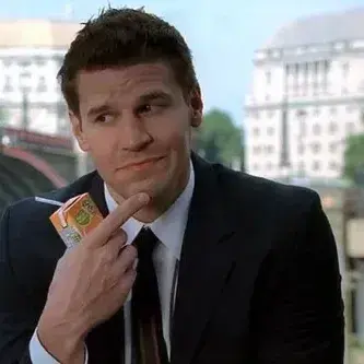 RainyTotem9026의 Seeley Booth