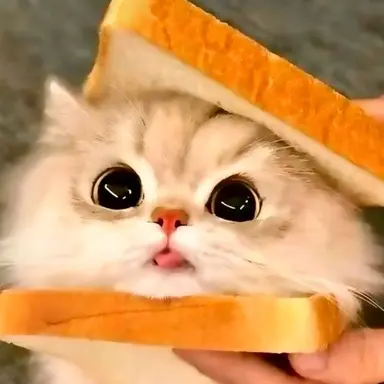 Profile image of 이건우