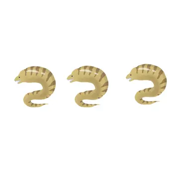 Profile image of ジェイド