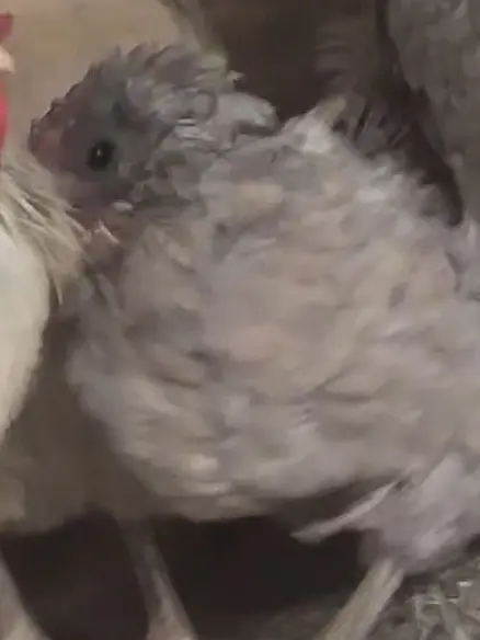 wishes816의 미춴 수학여행 버스