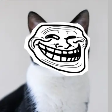 Profile image of ハチワレ