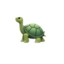 Profile image of 池亀樹音