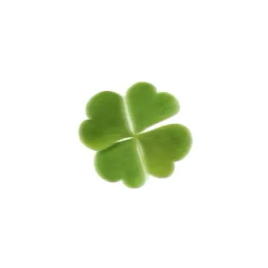 Profile image of ヒナ