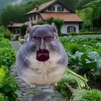 Profile image of chinchilla