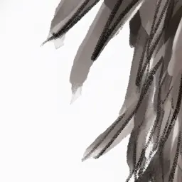 Profile image of 카모 세이슈