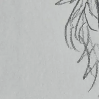 Profile image of 카마다치 하루야