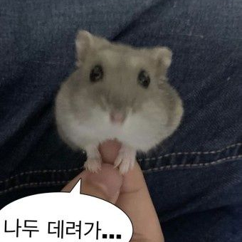 햄찌 대표 이미지