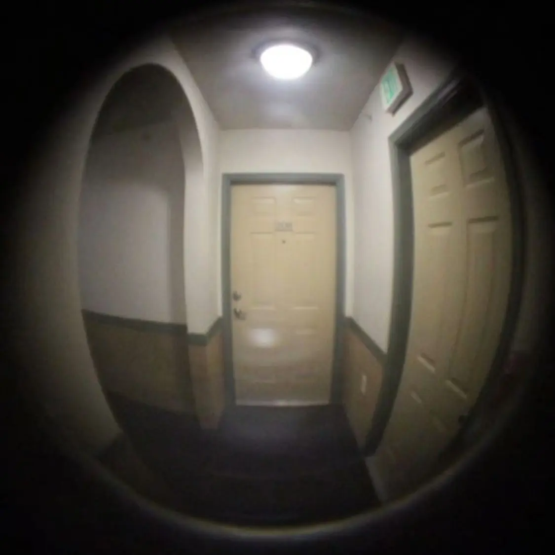 Benjamincarolline의 진태람