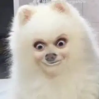 Profile image of 김찐따