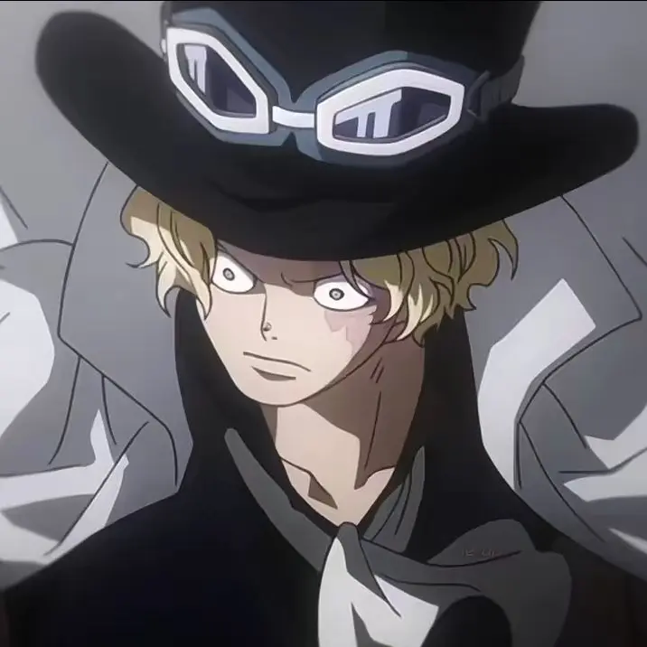 Onepiece_love의 사보