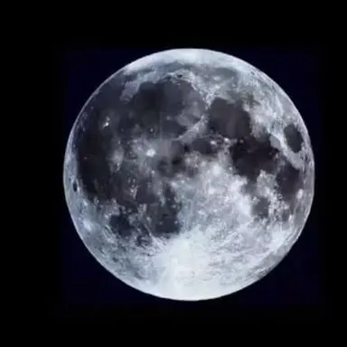 Profile image of 禪院 直哉