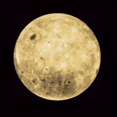 Profile image of 釘崎 野薔薇