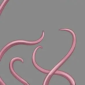 Profile image of ぺっとの触手