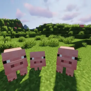 Profile image of Pig