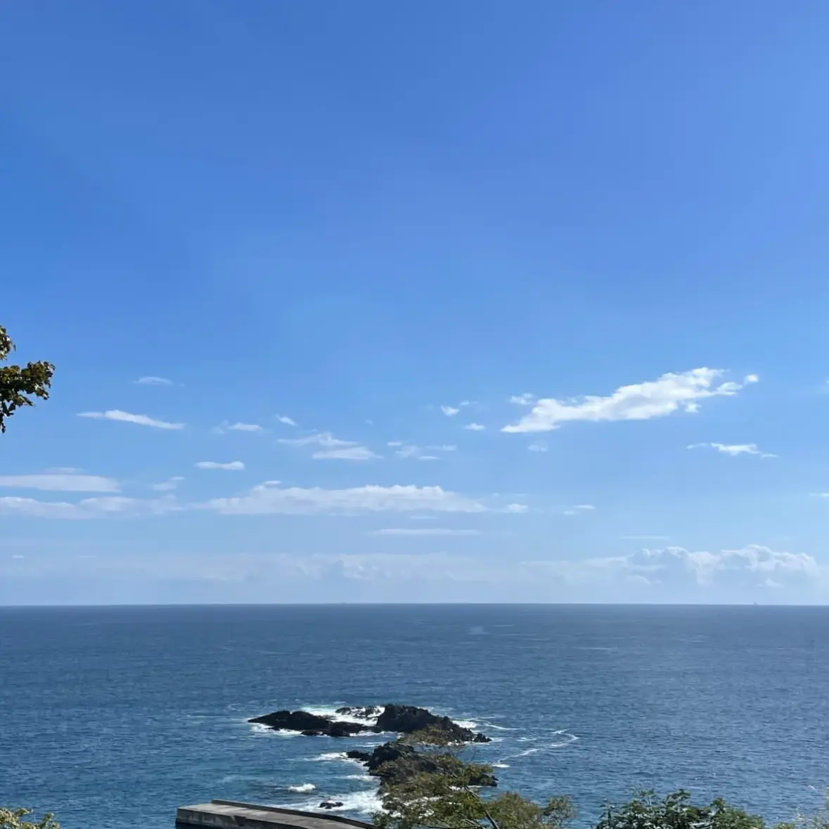 NosyMine1400의 レオナルドと私の運命な出会い