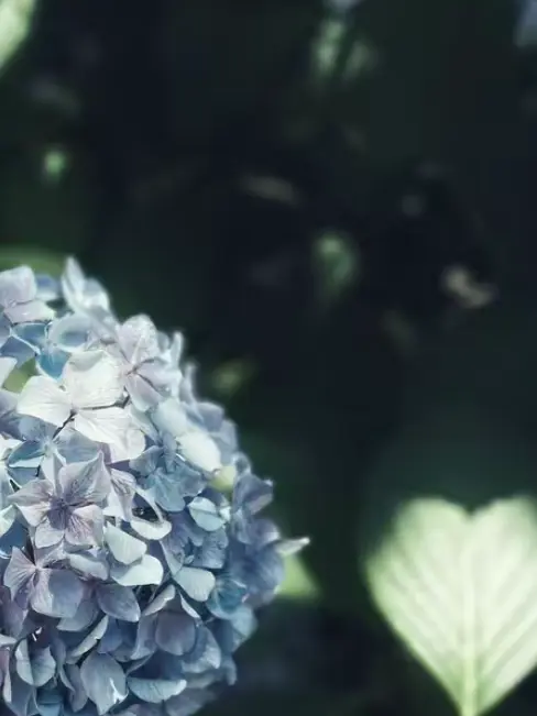 PPBaRa77의 私立ニシコリ高校の先生方。