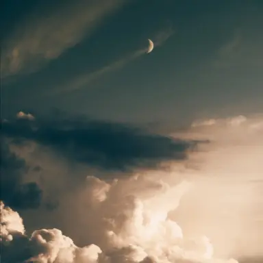 Profile image of 라더