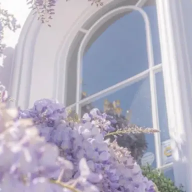 Profile image of 강운