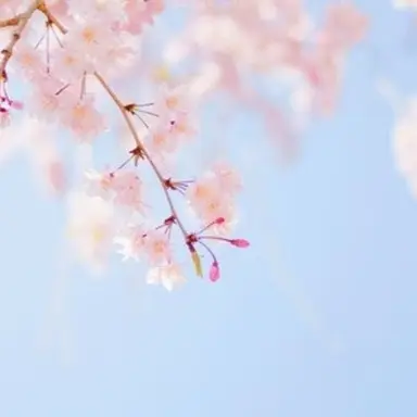 Profile image of 잠뜰