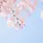 잠뜰