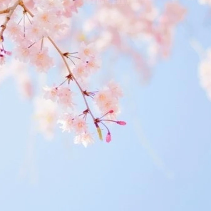 잠뜰