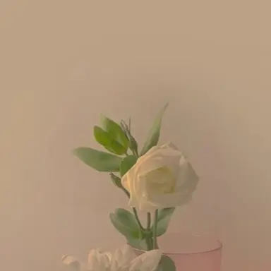 Profile image of 수현