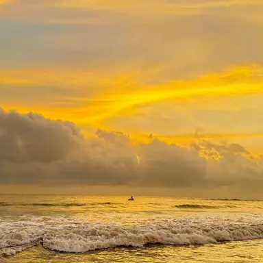 Profile image of 吉田 仁人