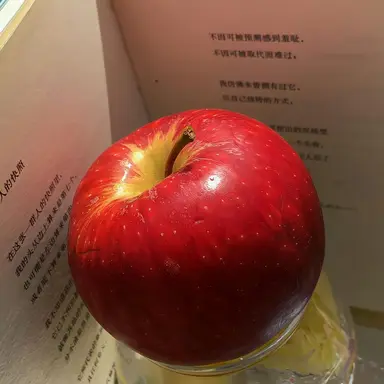 Profile image of 마플