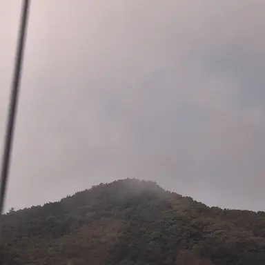 Profile image of 헌터RPG