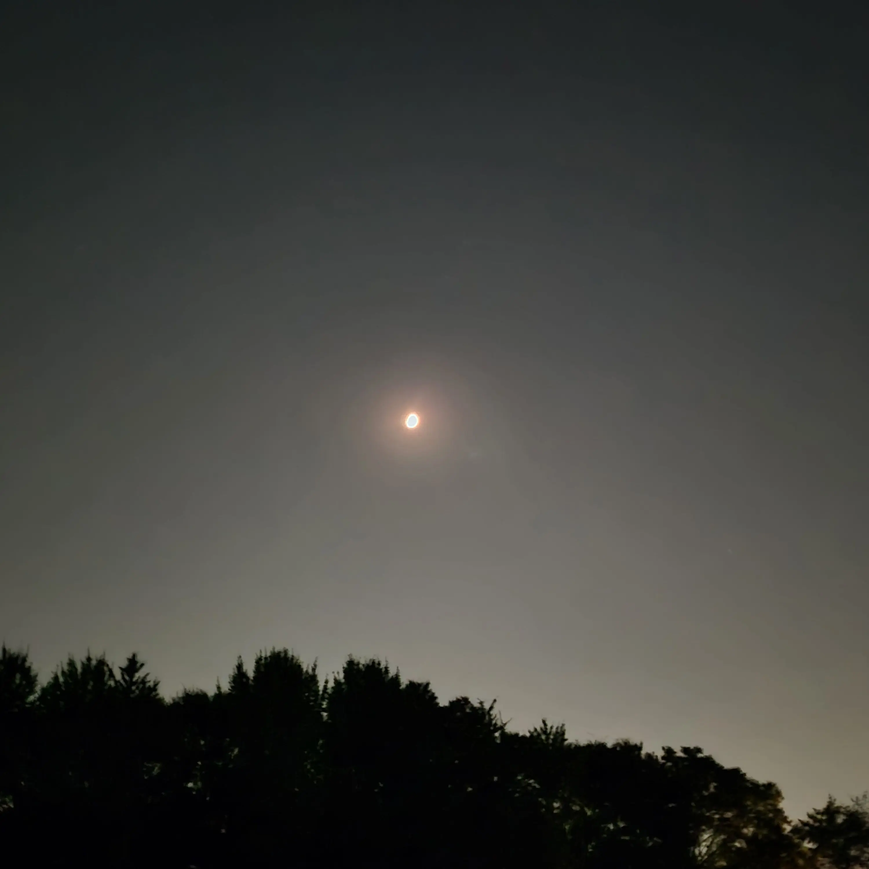 BaldRamp8823의 주토피아2