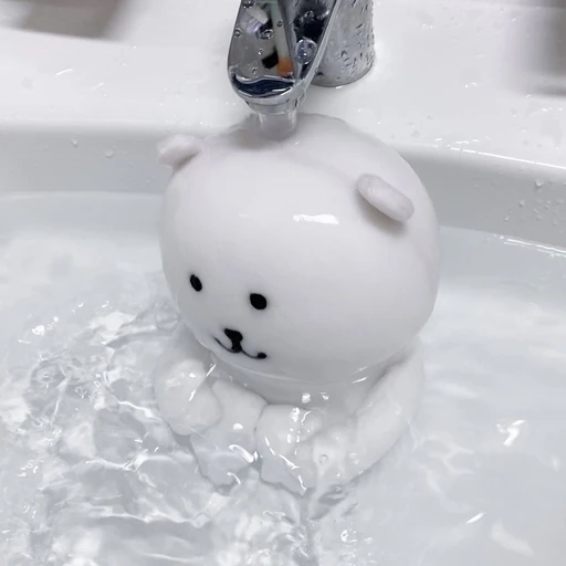 신지성