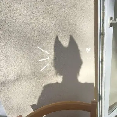 Profile image of foxy