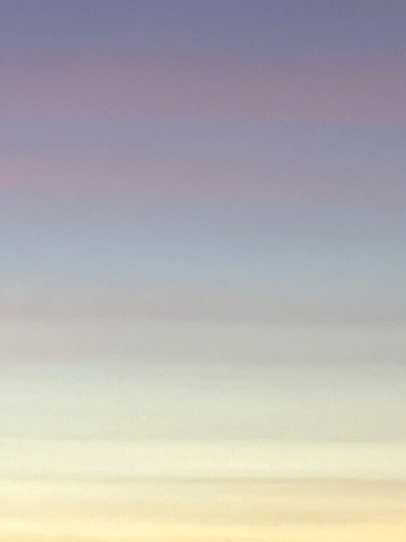 gayun_kim의 자몽🍊살구🍑 동아리