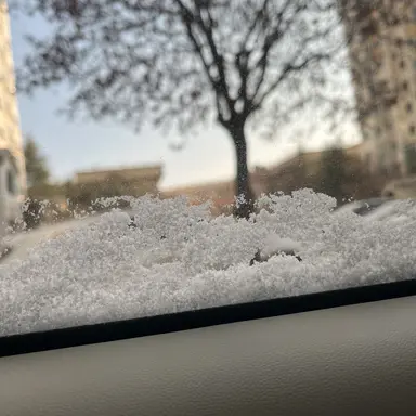 Profile image of 양지안