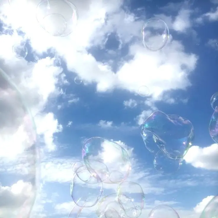 owl_lwo의 파이브