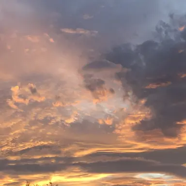 Profile image of ドイツ帝国