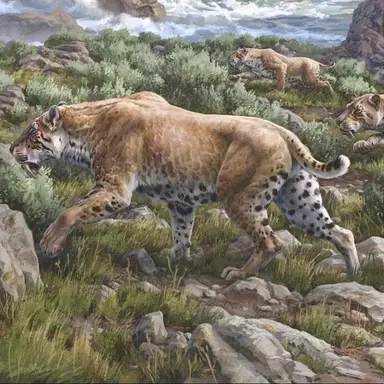 Profile image of Dinofelis