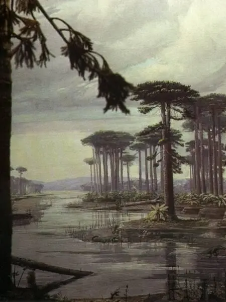 DoughyChime6892의 Triassic time