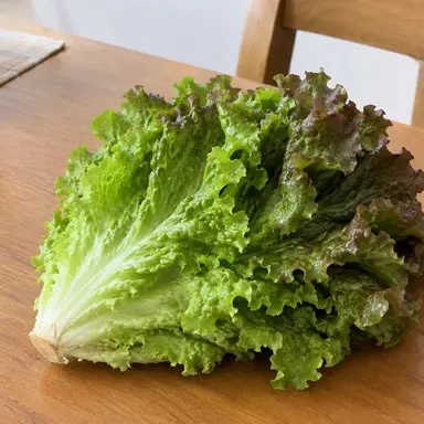 Profile image of Counter