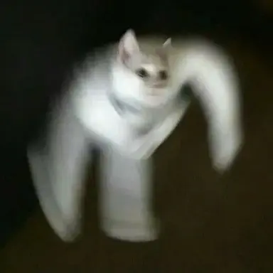 Profile image of 푱핑