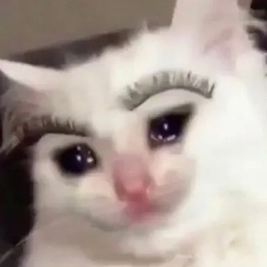 Profile image of SIGMA CAT