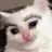 SIGMA CAT