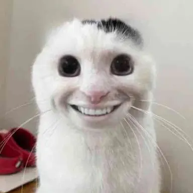 Profile image of 모아이