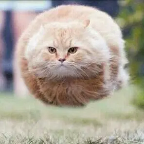 Profile image of 유에4