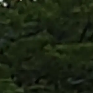 Profile image of ミセス