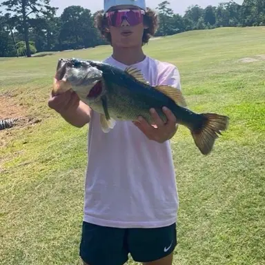 Profile image of Sawyer Dunwalk