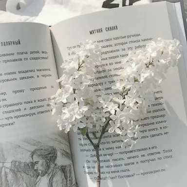 Profile image of 정율아