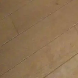 Profile image of 面影