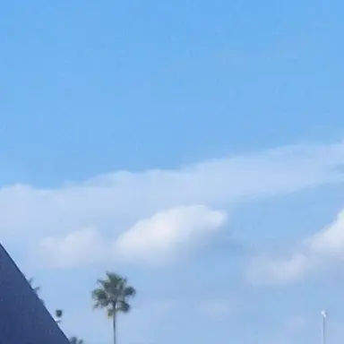 Profile image of SnowMan