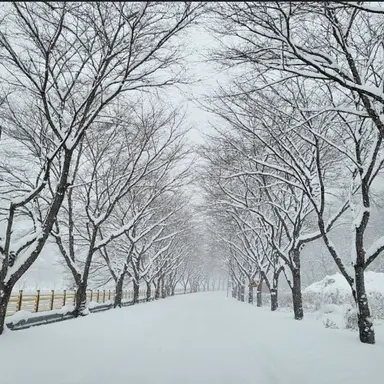 Profile image of 한지훈